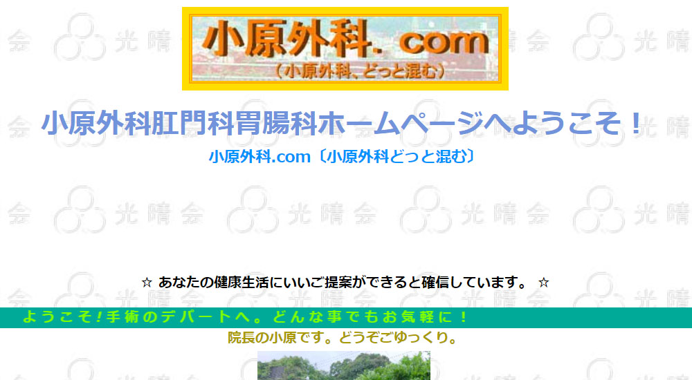 小原外科・肛門科・胃腸科のスクリーンショット画像